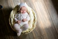 Evelyn | Newborn and Family