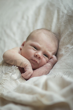 CSmithNewborn005