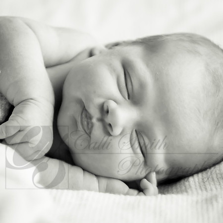 CSmithNewborn006