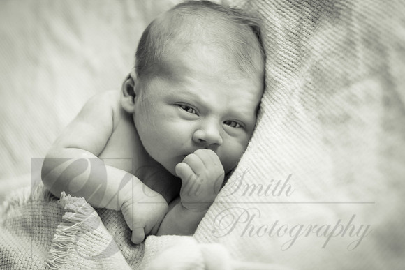 CSmithNewborn008