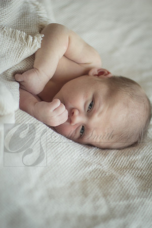 CSmithNewborn009