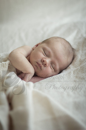 CSmithNewborn017
