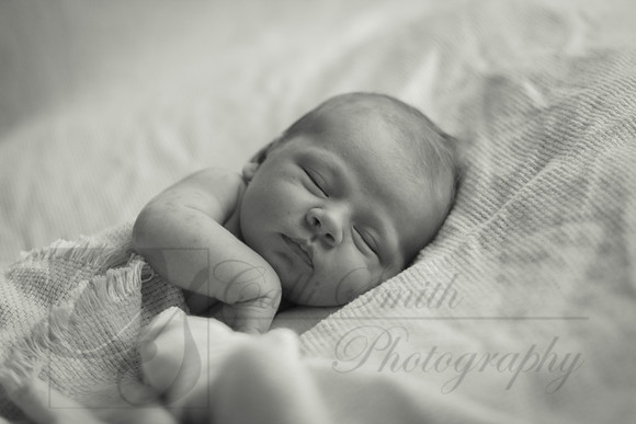 CSmithNewborn020