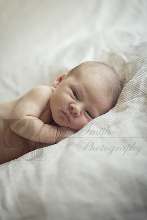 CSmithNewborn021