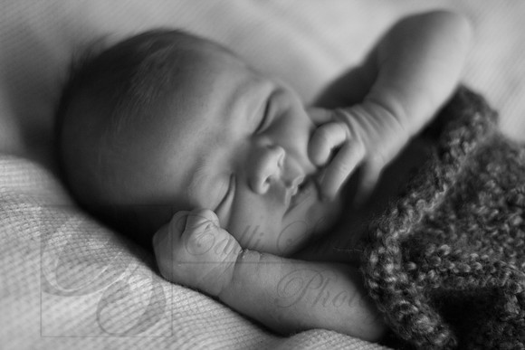 CSmithNewborn023