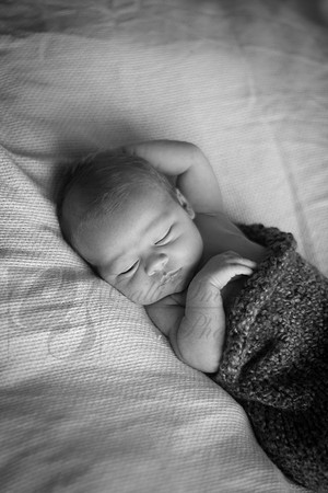CSmithNewborn025