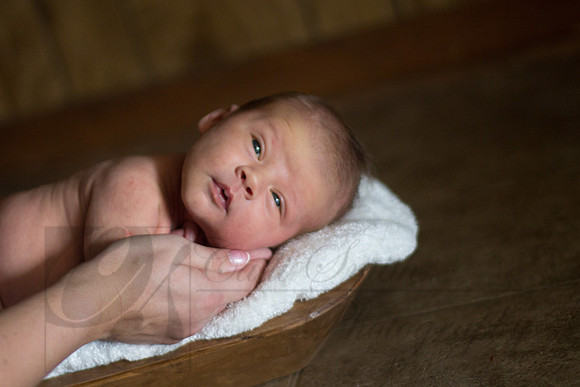 CSmithNewborn030