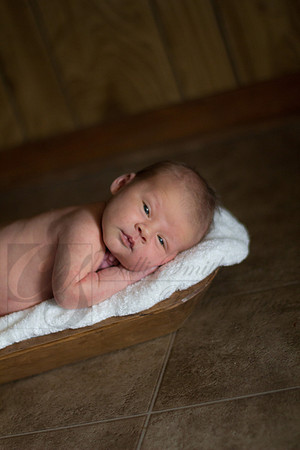 CSmithNewborn031