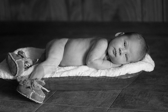 CSmithNewborn034