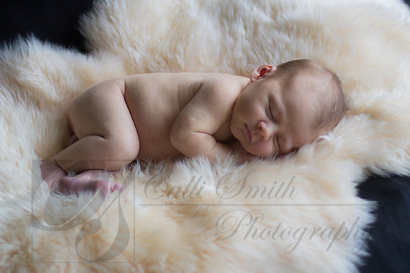 CSmithNewborn045