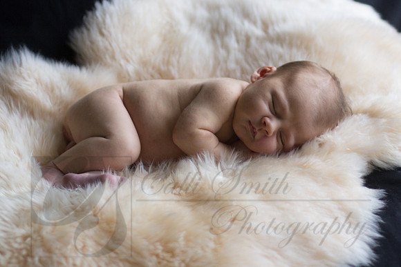 CSmithNewborn046