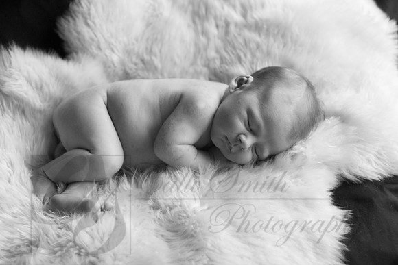 CSmithNewborn048