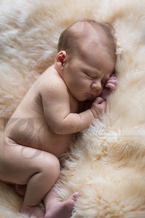 CSmithNewborn049