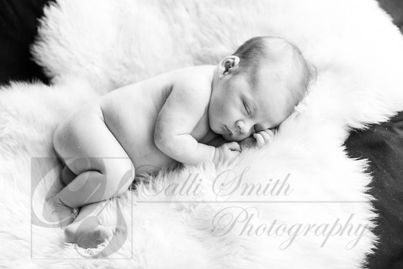 CSmithNewborn050