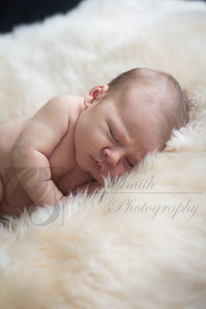 CSmithNewborn051