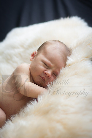 CSmithNewborn053