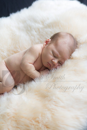 CSmithNewborn054