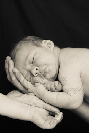 CSmithNewborn068