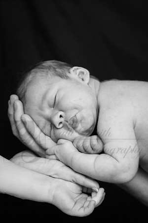CSmithNewborn069