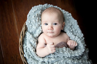 Wallace | Newborn and Sibling Portraits