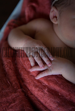 HArrowood_NB-3