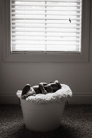 homepage_February2014_049